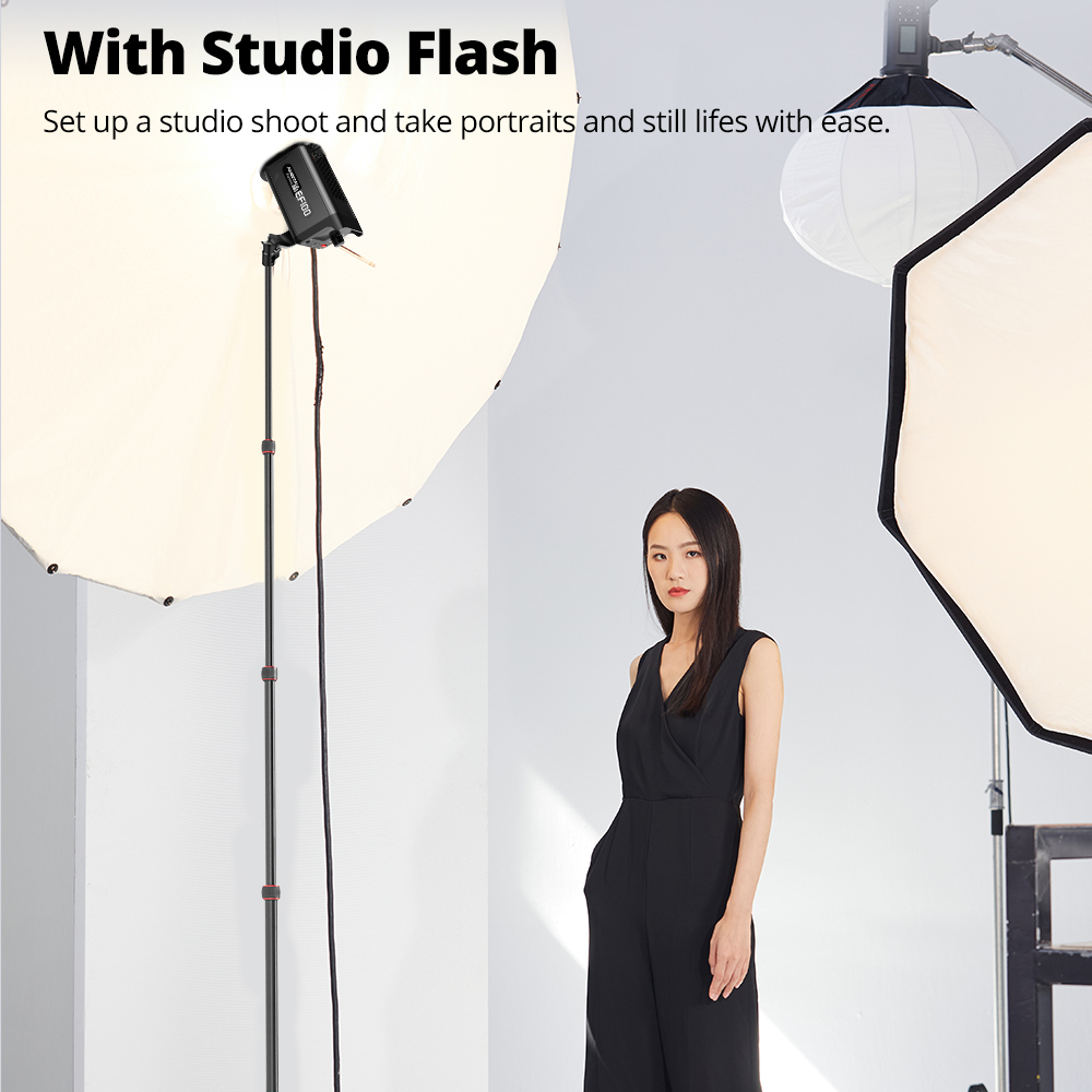 Ambitful GM220 Photographic Li - Photography Basics review and price