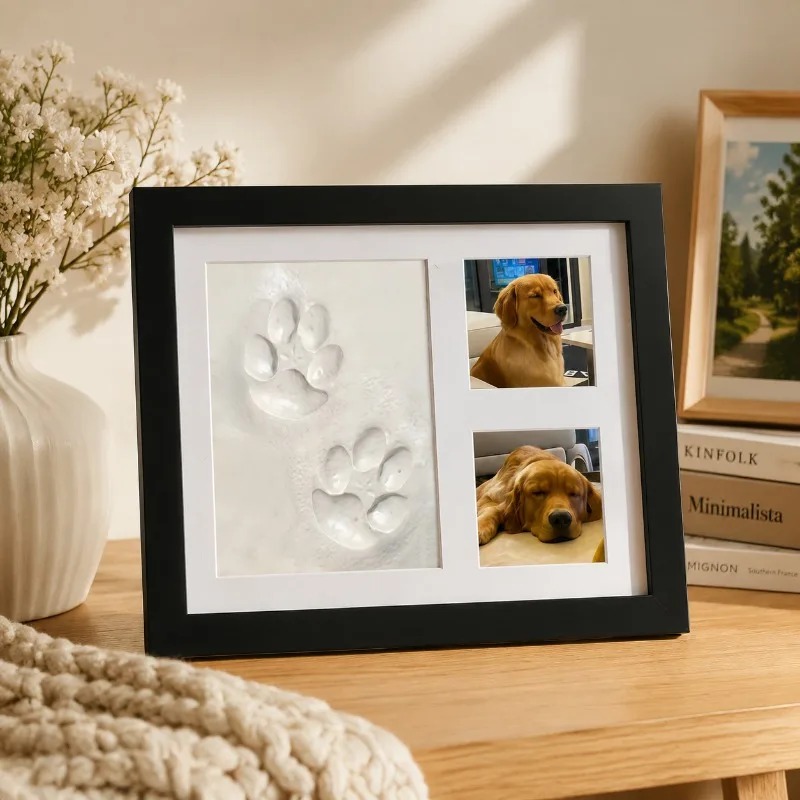 DIY Pet Paw Print Memorial Kit - Photographic Memory review and price