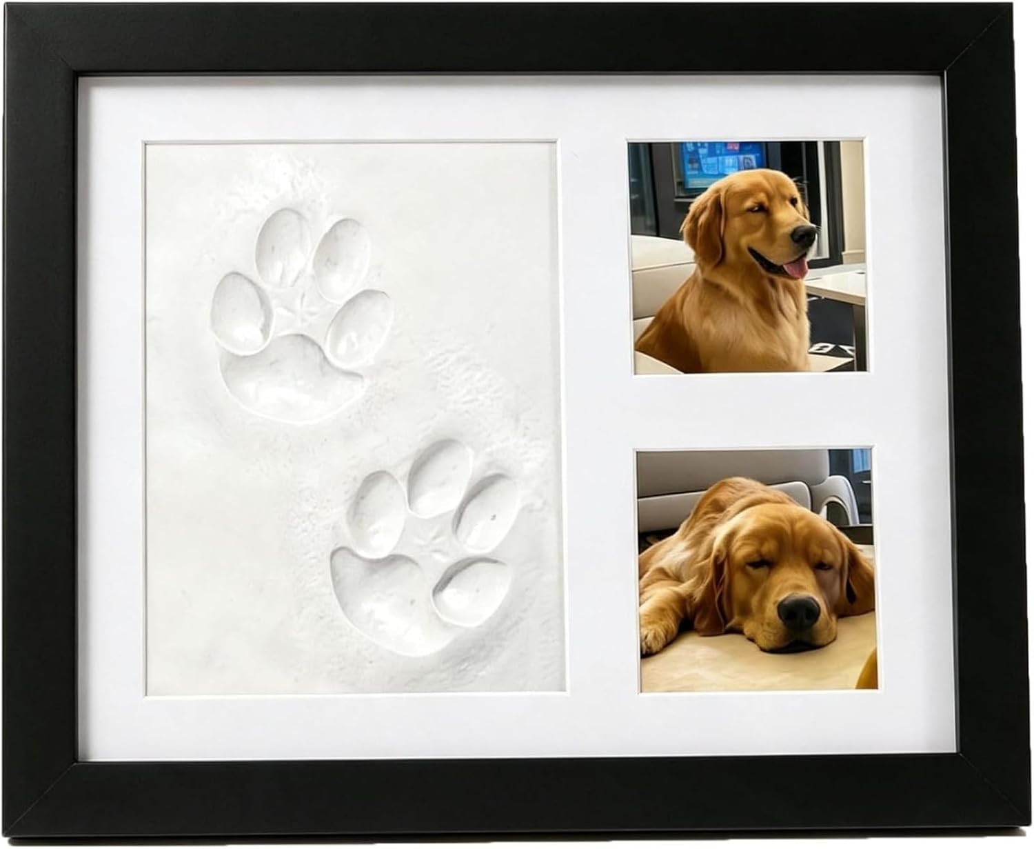 DIY Pet Paw Print Memorial Kit - Photographic Memory review and price